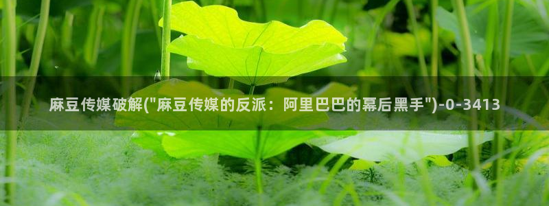 麻豆国产av专区：麻豆传媒破解(\