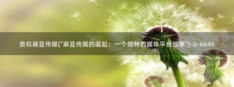 麻豆观看：类似麻豆传媒(\