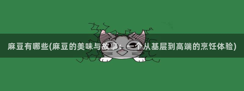 麻豆区：麻豆有哪些(麻豆的美味与故事：一个从基层到高端的烹饪