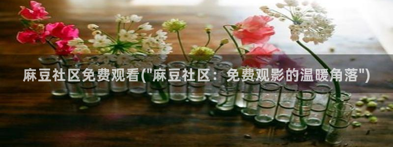 麻豆.com