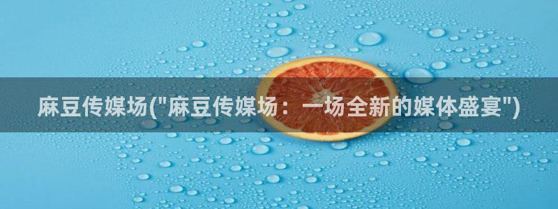 日韩中文麻豆专区：麻豆传媒场(\