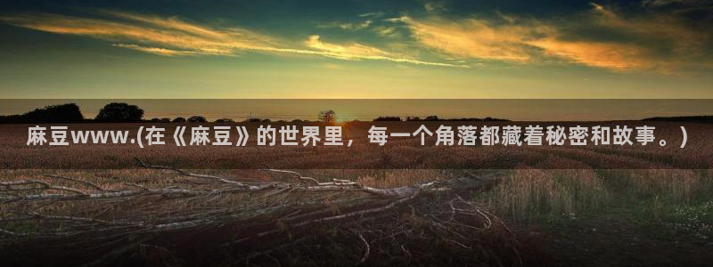 麻豆最新：麻豆www.(在《麻豆》的世界里，每一个角落都藏着