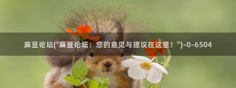 在线麻豆：麻豆论坛(\