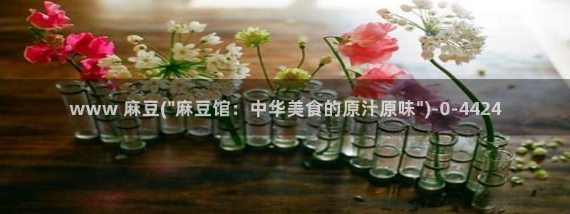 麻豆 专区：www 麻豆(\