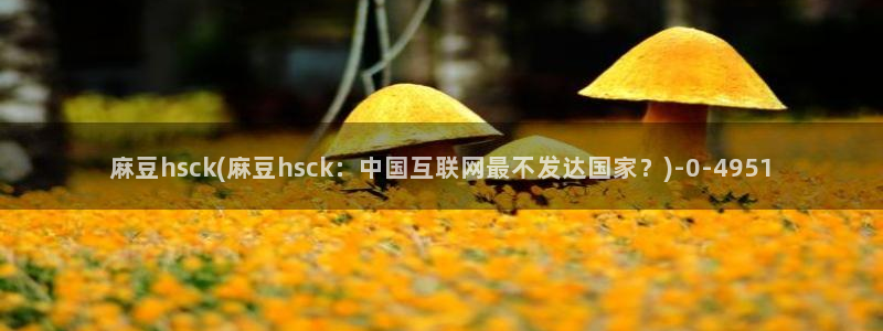 麻豆作品：麻豆hsck(麻豆hsck：中国互联网最不发达国家