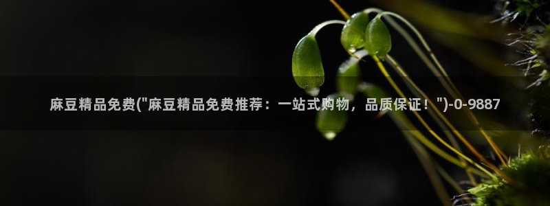 麻豆.com：麻豆精品免费(\