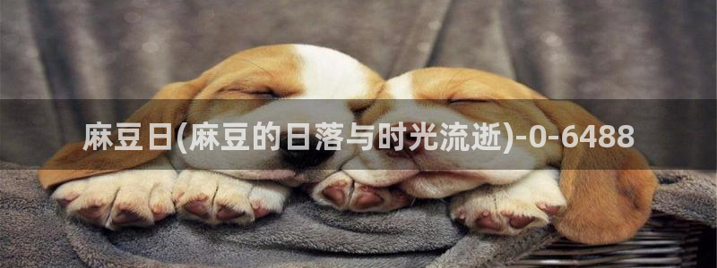 麻豆专区：麻豆日(麻豆的日落与时光流逝)