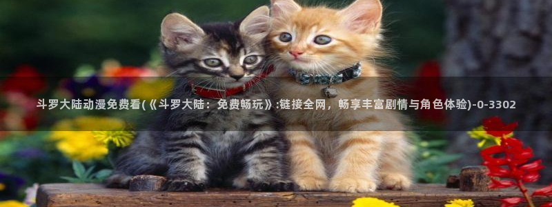 动漫影院：斗罗大陆动漫免费看(《斗罗大陆：免费畅玩》:链接全网，畅享丰富