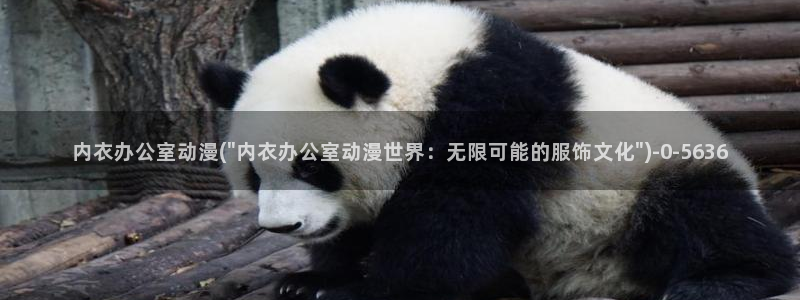 动漫美女图片：内衣办公室动漫(\