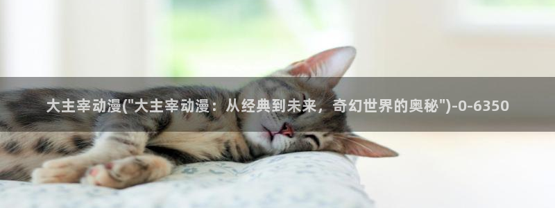 动漫之家