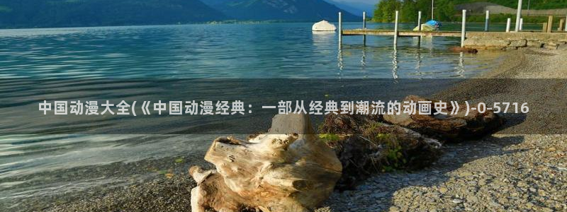 动漫海报：中国动漫大全(《中国动漫经典：一部从经典到潮流的动画史》)