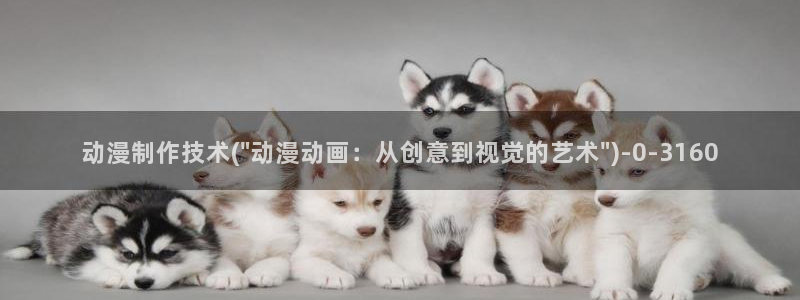 好看的动漫图片：动漫制作技术(\